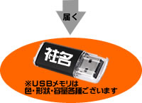 USB͐FE`Eeʊe킲܂